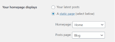 Your homepage displays example - She Can Blog